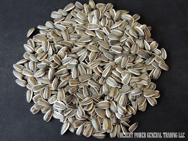 Stripped sunflower seeds